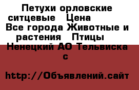 Петухи орловские ситцевые › Цена ­ 1 000 - Все города Животные и растения » Птицы   . Ненецкий АО,Тельвиска с.